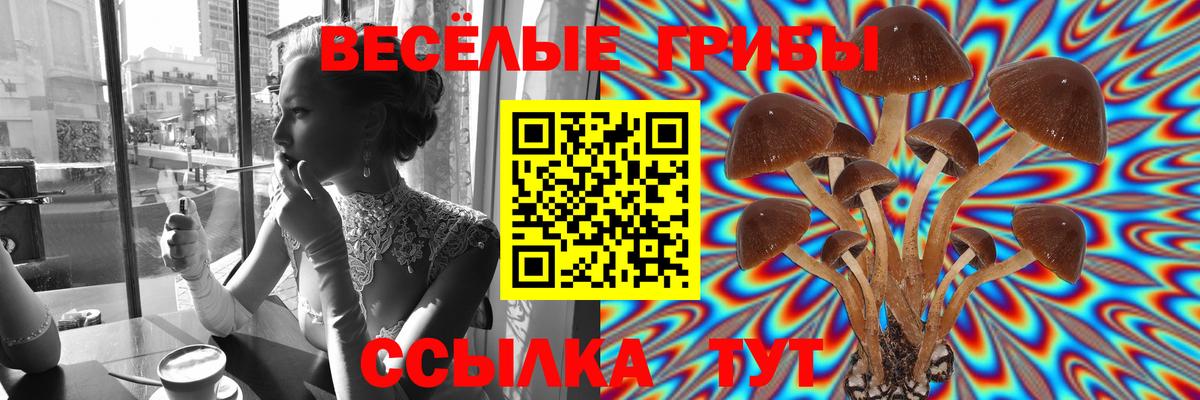 Псилоцибиновые грибы Psilocybine cubensis  купить   Вход с VPN  Скопин  Псилоцибиновые грибы мицелий 